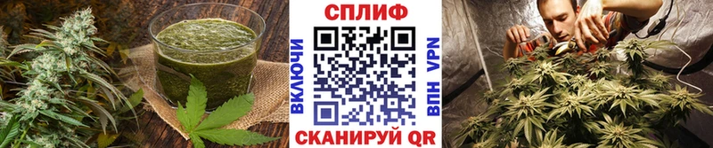 Cannafood конопля что такое наркотик Чудово