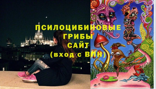 метадон Арсеньев