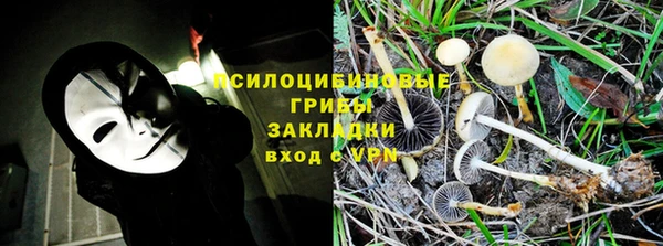 метадон Арсеньев