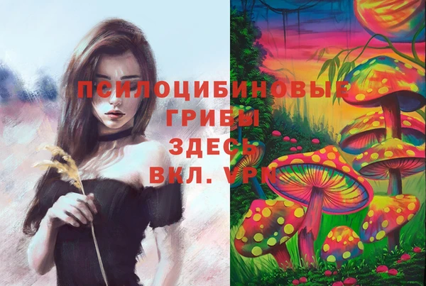 метадон Арсеньев