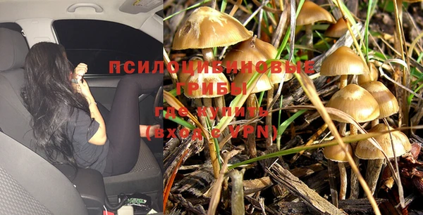 а пвп мука Аркадак