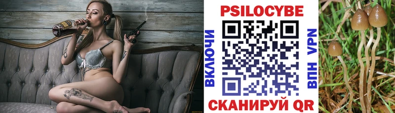 Галлюциногенные грибы Cubensis Чудово